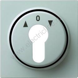 Gira S-Color Накладка выключателя с ключом, Серый